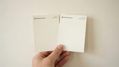 Color Consultation